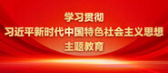 鸡巴操B电影学习贯彻习近平新时代中国特色社会主义思想主题教育_fororder_ad-371X160(2)